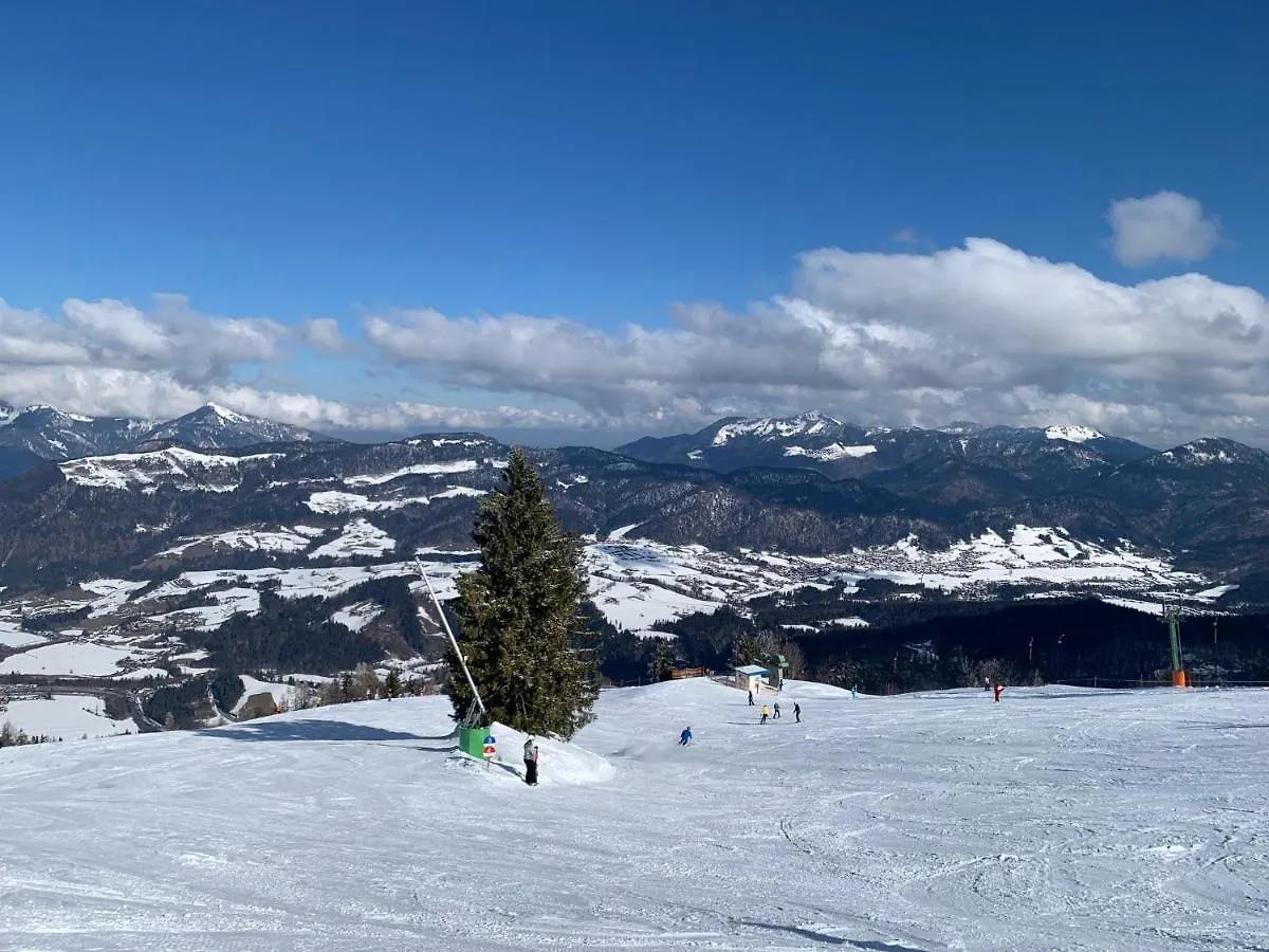 Apartment Ferienwohnung Bergblick Oberaudorf